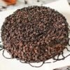 Chocolate Chip Cake with a Soft, Rich Texture and Chocolate Chip Topping