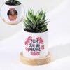 You Are Amazing Mom Zebra Succulent Plant — vibrant zebra succulent in a “You Are Amazing Mom” printed pot.